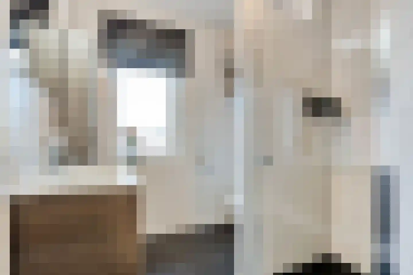 De Ryge 31 Nijeveen thumbnail 22