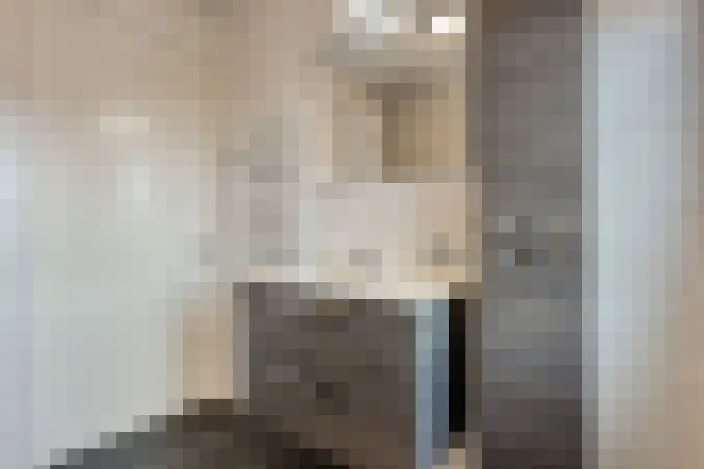 De Ryge 31 Nijeveen thumbnail 23