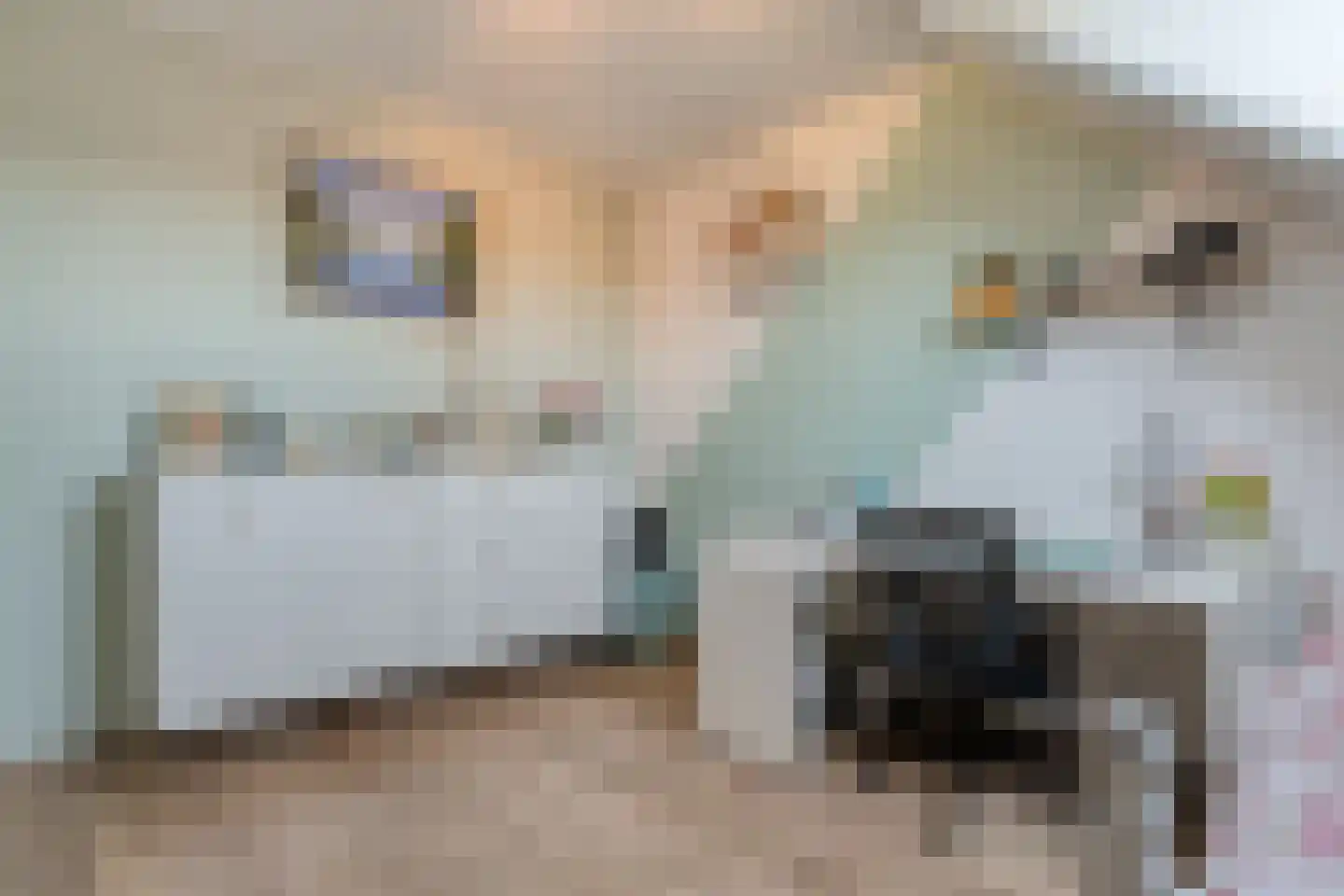 De Ryge 31 Nijeveen thumbnail 25