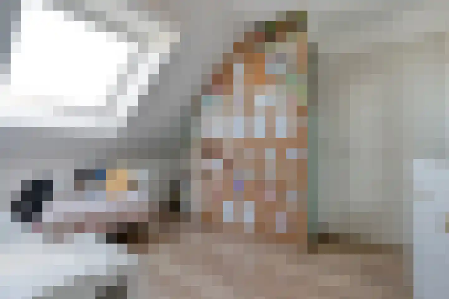 De Ryge 31 Nijeveen thumbnail 26