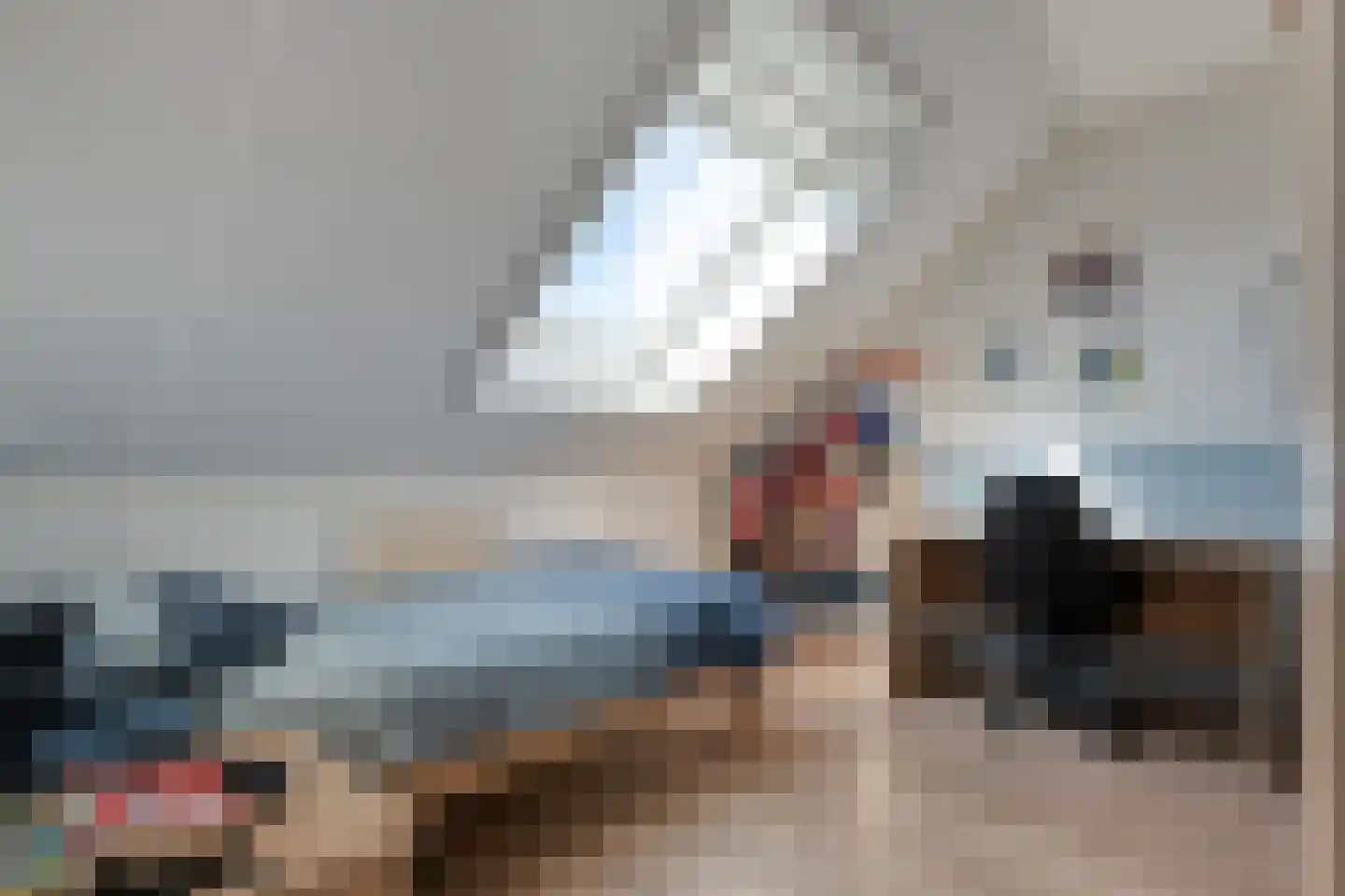 De Ryge 31 Nijeveen thumbnail 27