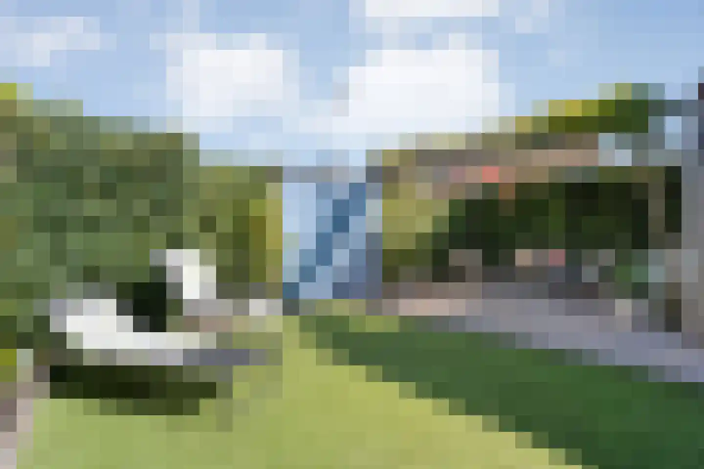 De Ryge 31 Nijeveen thumbnail 31