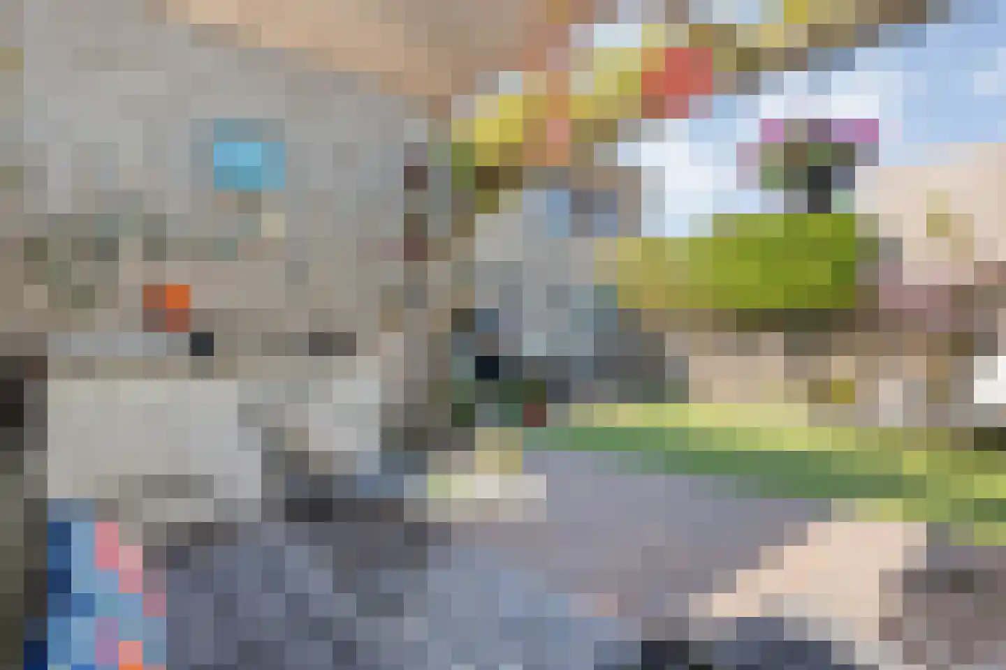 De Ryge 31 Nijeveen thumbnail 33