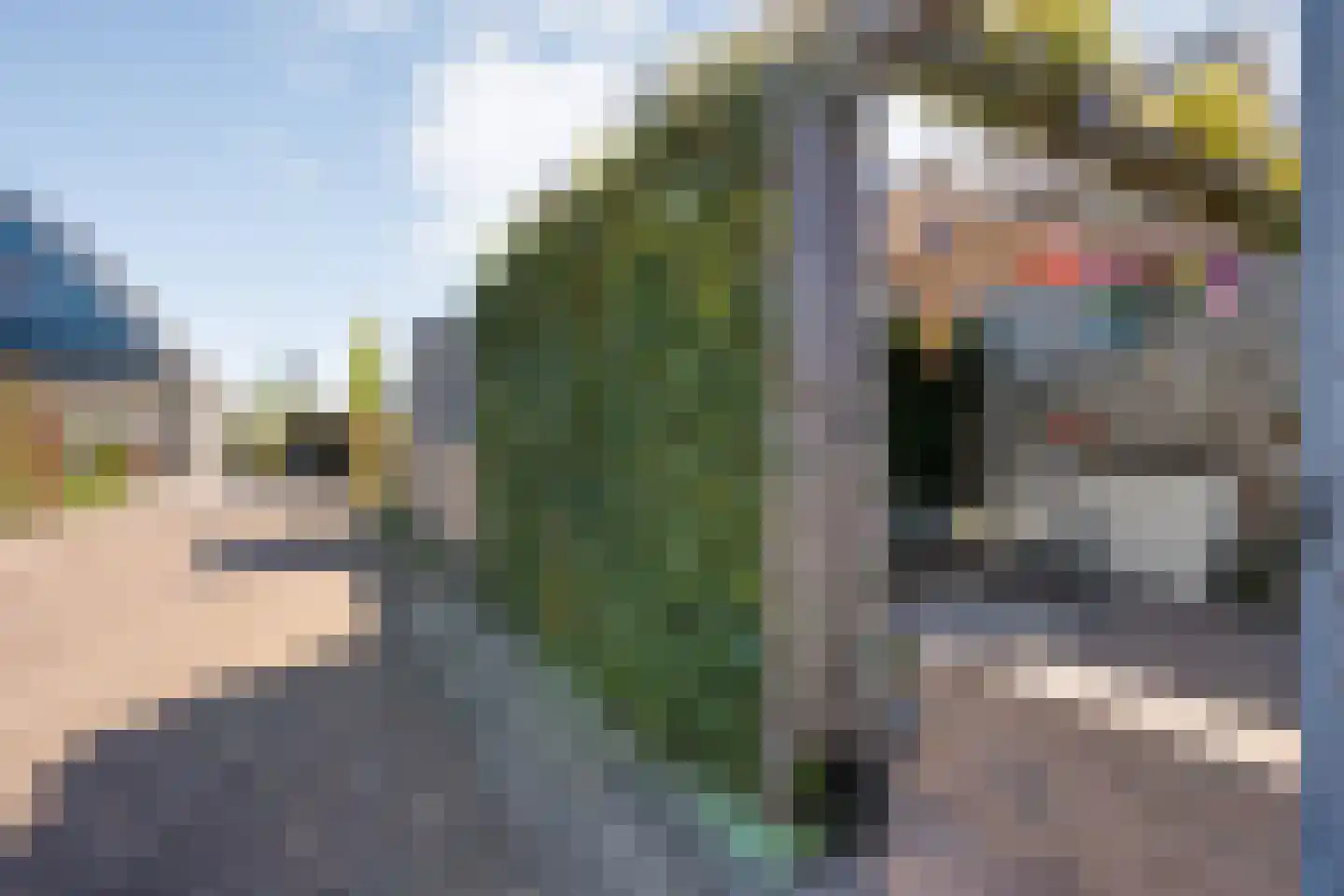 De Ryge 31 Nijeveen thumbnail 34