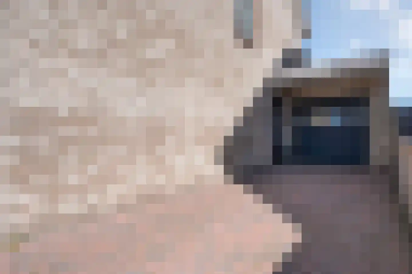De Ryge 31 Nijeveen thumbnail 38