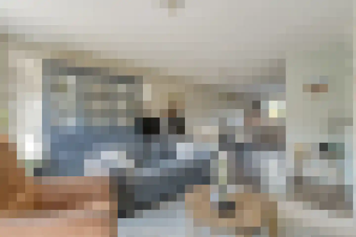 De Ryge 31 Nijeveen thumbnail 6