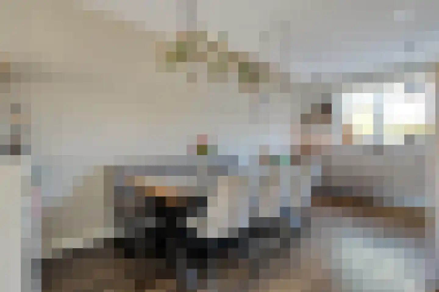 De Ryge 31 Nijeveen thumbnail 8