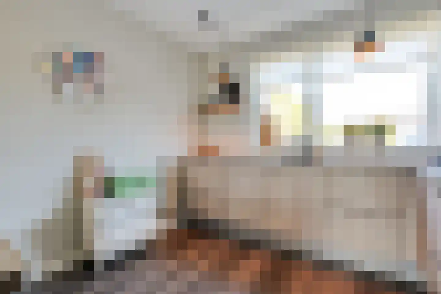 De Ryge 31 Nijeveen thumbnail 9