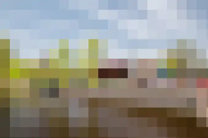 De Ryge 53 Nijeveen thumbnail 10