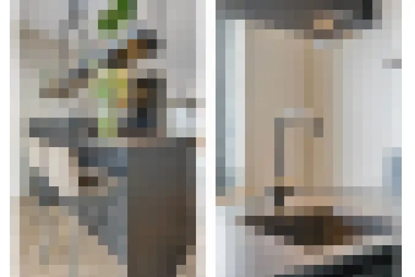 De Ryge 53 Nijeveen thumbnail 11