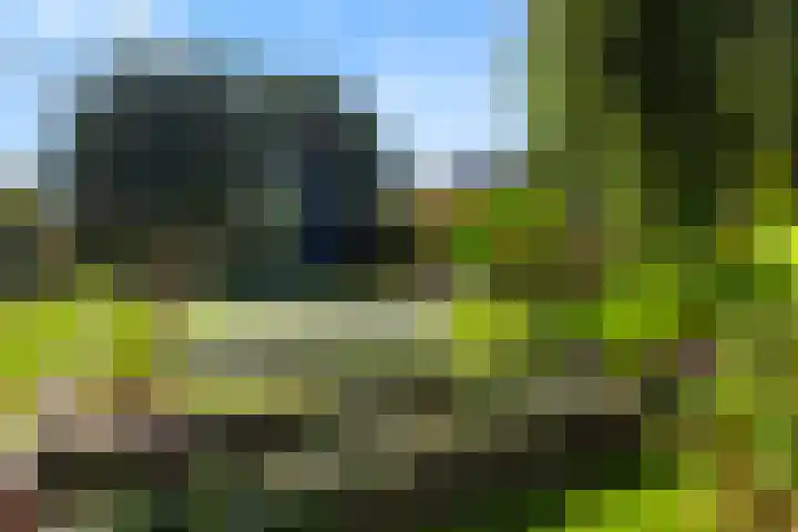 De Ryge 53 Nijeveen thumbnail 13