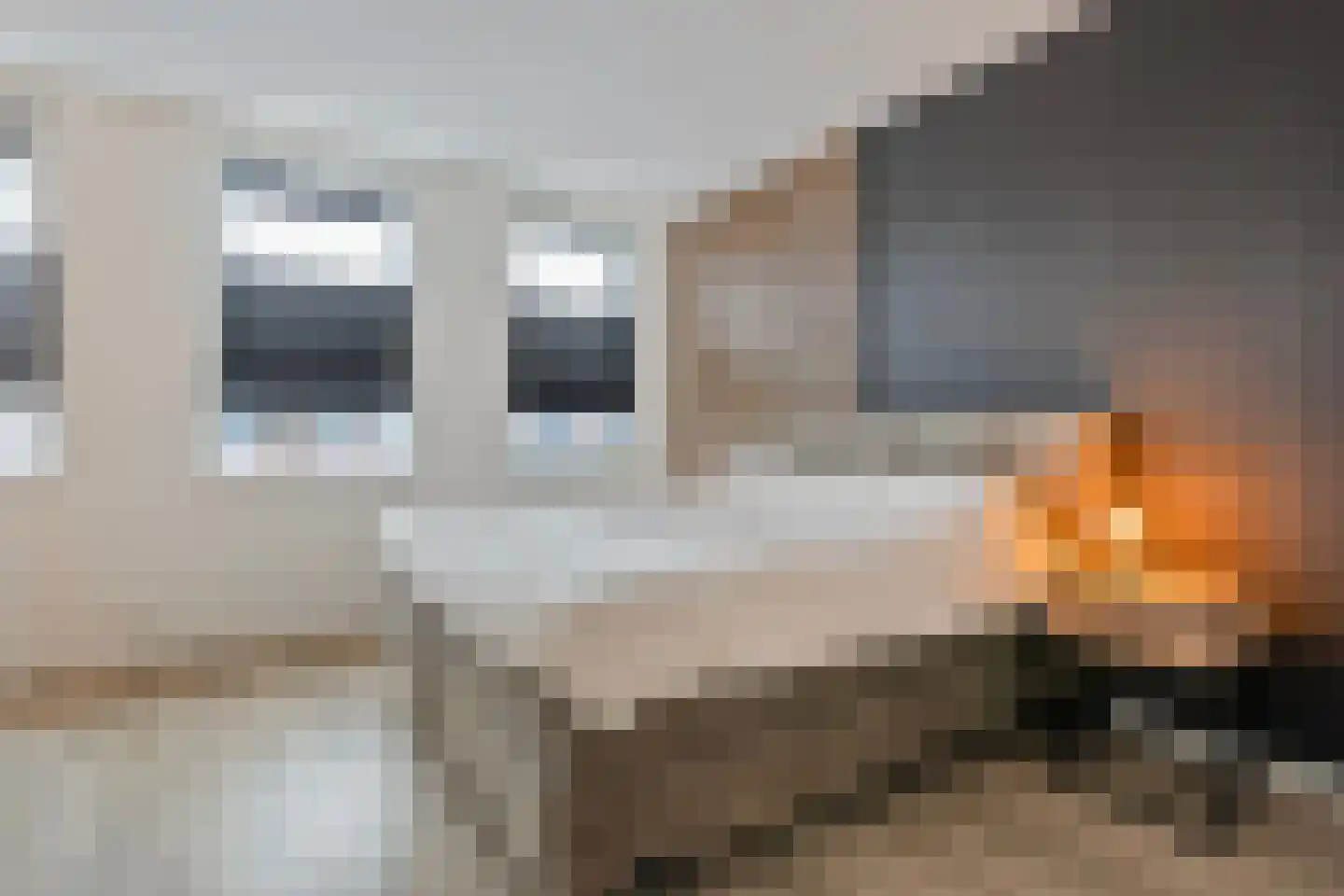 De Ryge 53 Nijeveen thumbnail 16