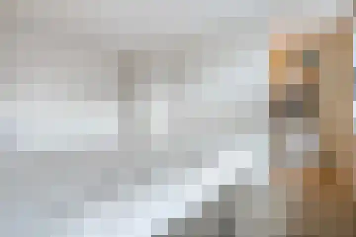 De Ryge 53 Nijeveen thumbnail 17