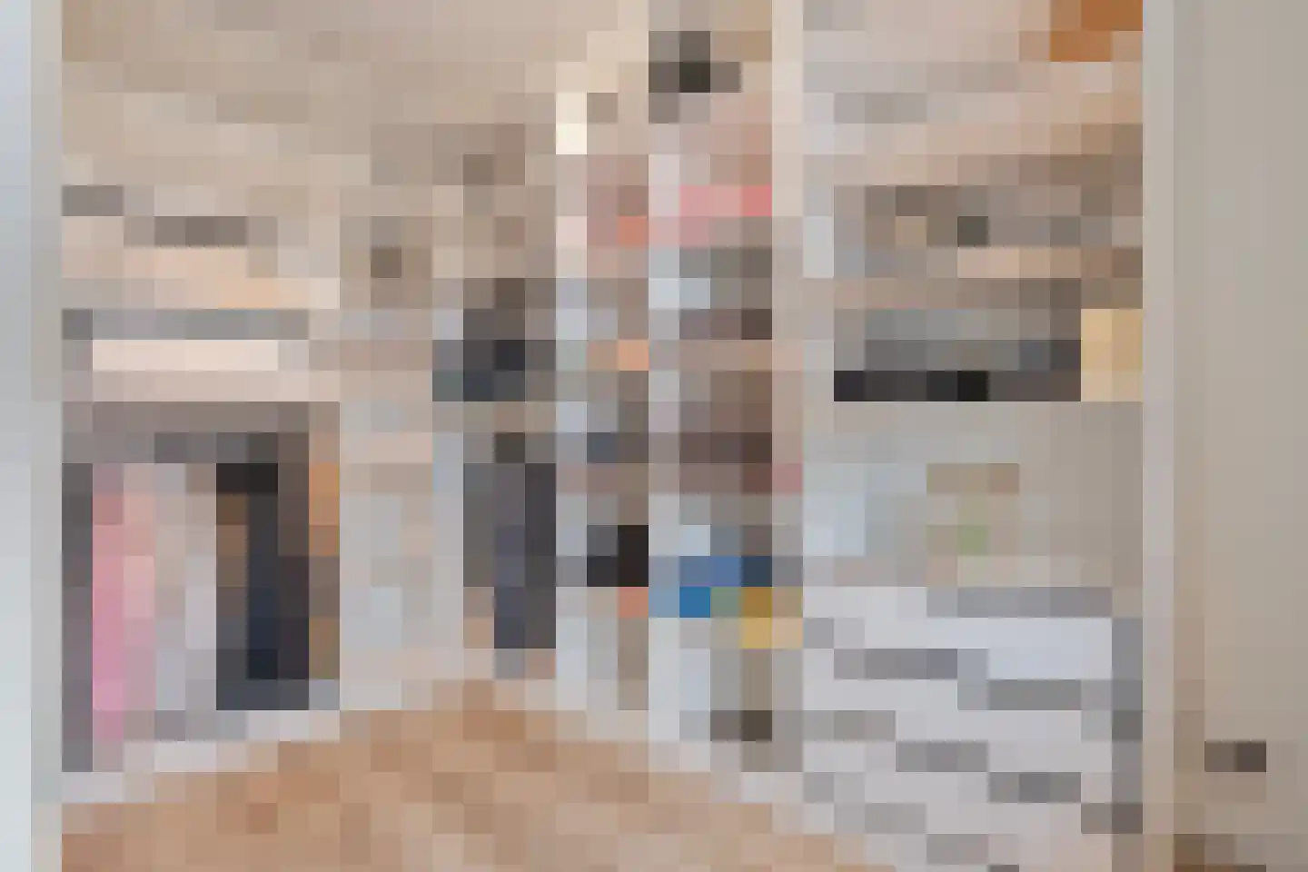 De Ryge 53 Nijeveen thumbnail 18