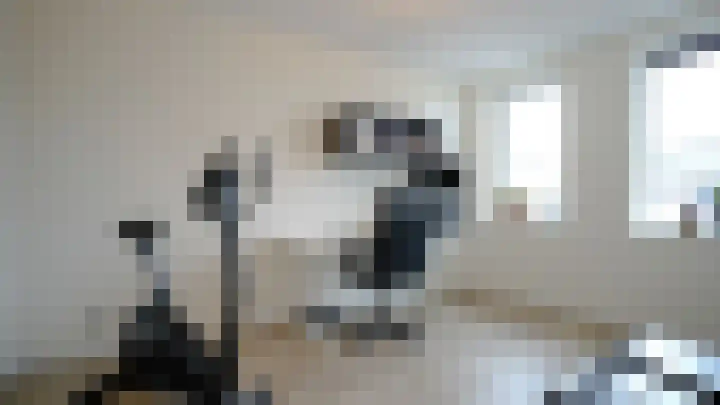 De Ryge 53 Nijeveen thumbnail 19