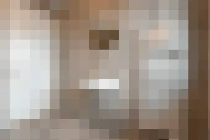 De Ryge 53 Nijeveen thumbnail 22