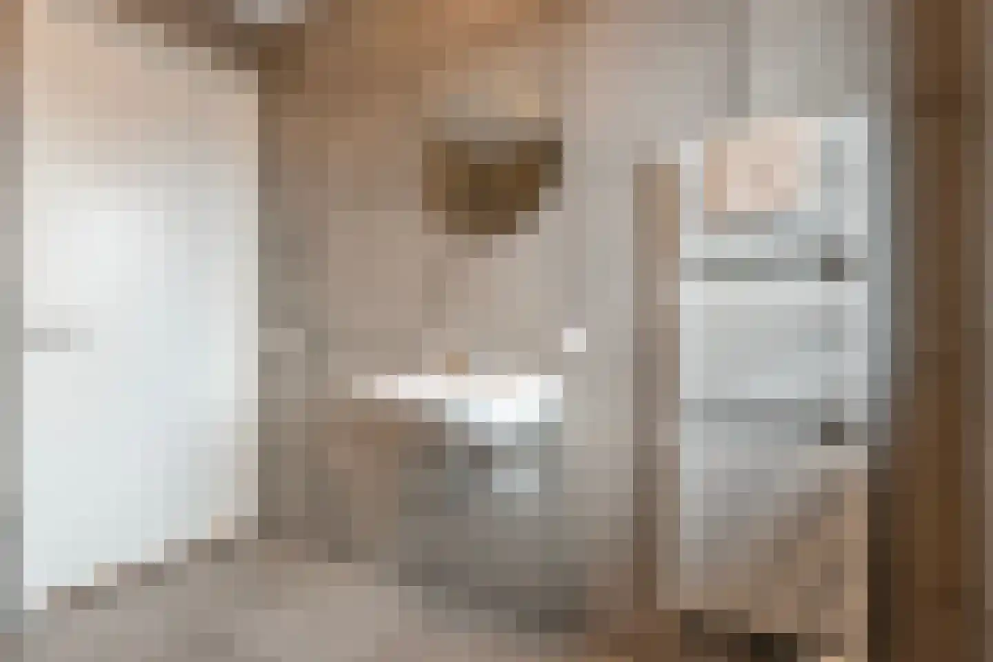 De Ryge 53 Nijeveen thumbnail 22
