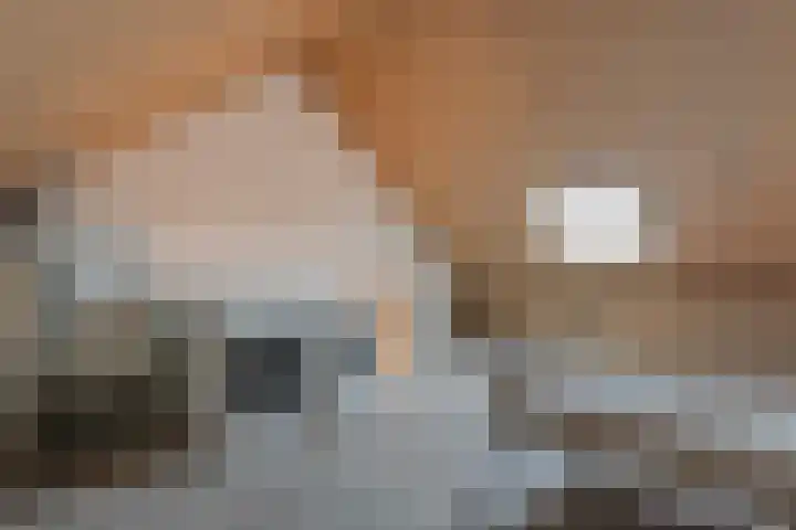 De Ryge 53 Nijeveen thumbnail 24