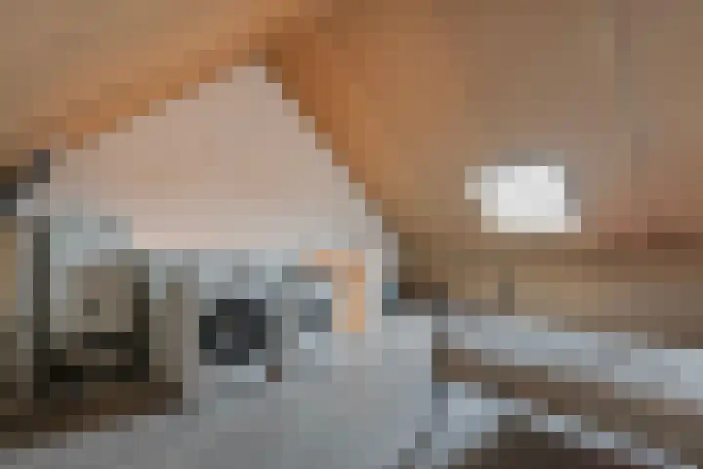 De Ryge 53 Nijeveen thumbnail 24