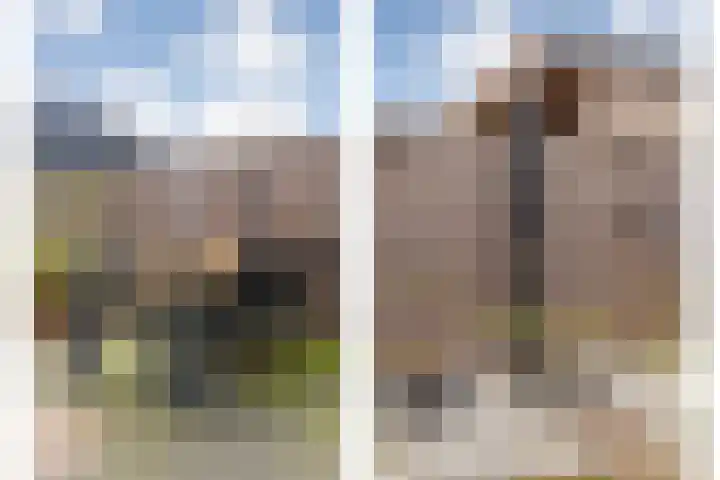 De Ryge 53 Nijeveen thumbnail 27