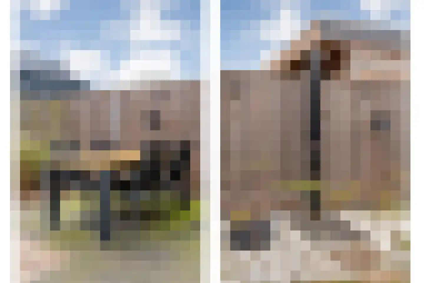 De Ryge 53 Nijeveen thumbnail 27