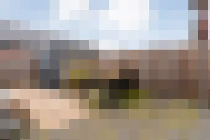 De Ryge 53 Nijeveen thumbnail 28