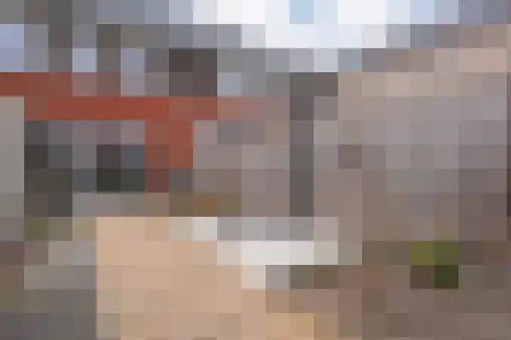 De Ryge 53 Nijeveen thumbnail 29