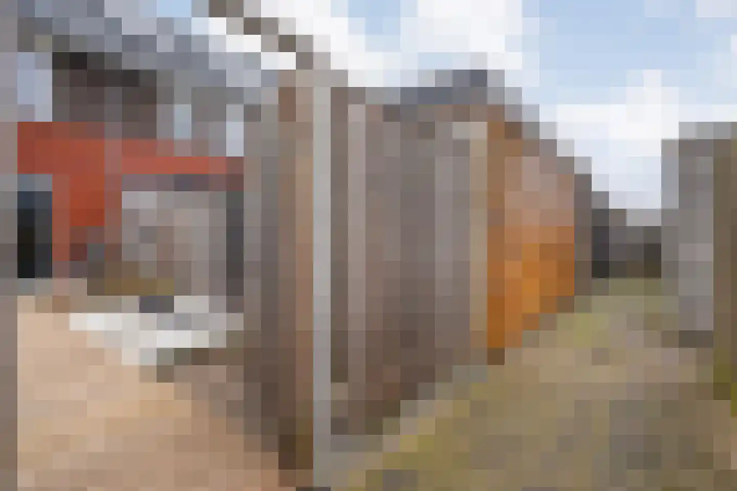 De Ryge 53 Nijeveen thumbnail 32