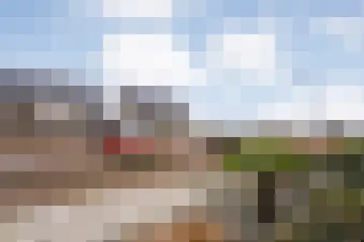 De Ryge 53 Nijeveen thumbnail 35