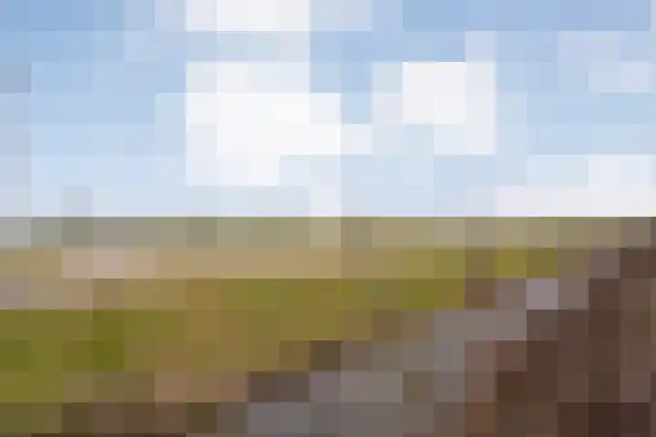 De Ryge 53 Nijeveen thumbnail 38
