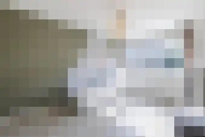 De Ryge 53 Nijeveen thumbnail 42