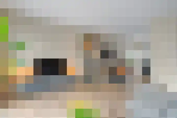 De Ryge 53 Nijeveen thumbnail 5