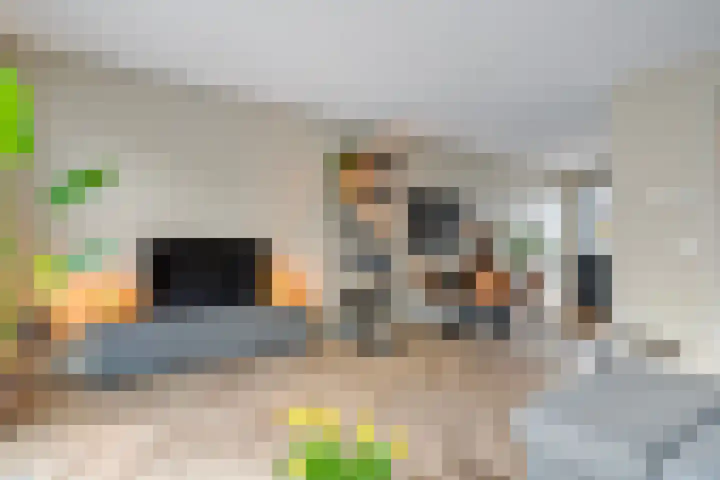 De Ryge 53 Nijeveen thumbnail 5