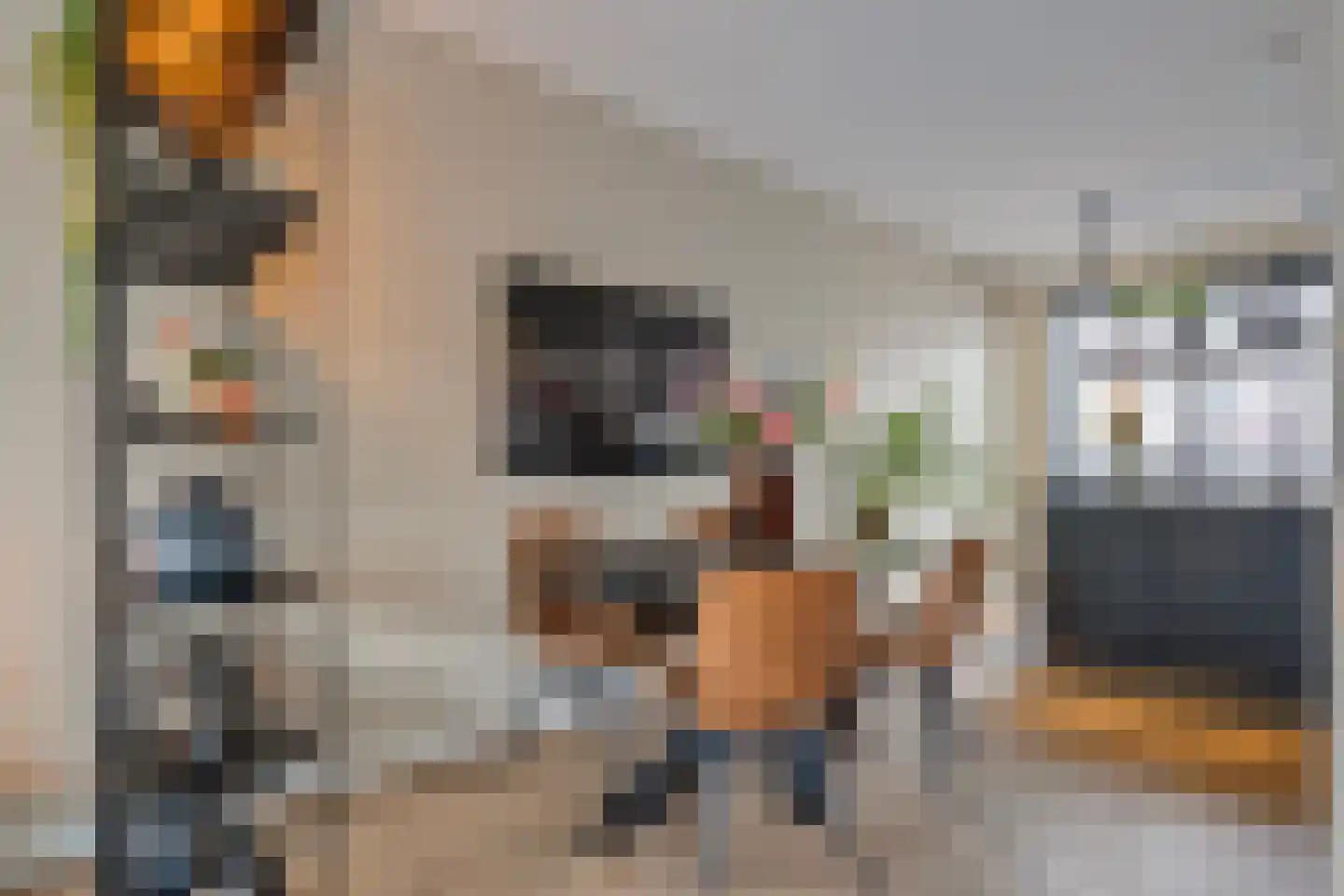 De Ryge 53 Nijeveen thumbnail 6