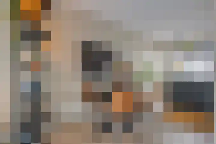 De Ryge 53 Nijeveen thumbnail 6