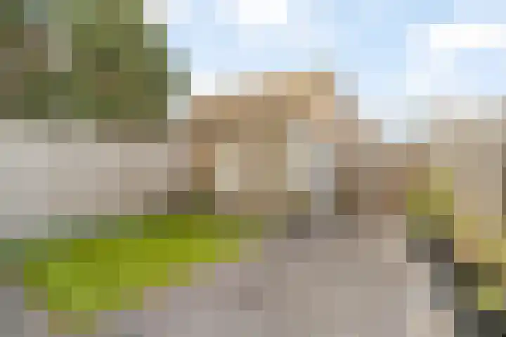 De Ryge 53 Nijeveen thumbnail 7