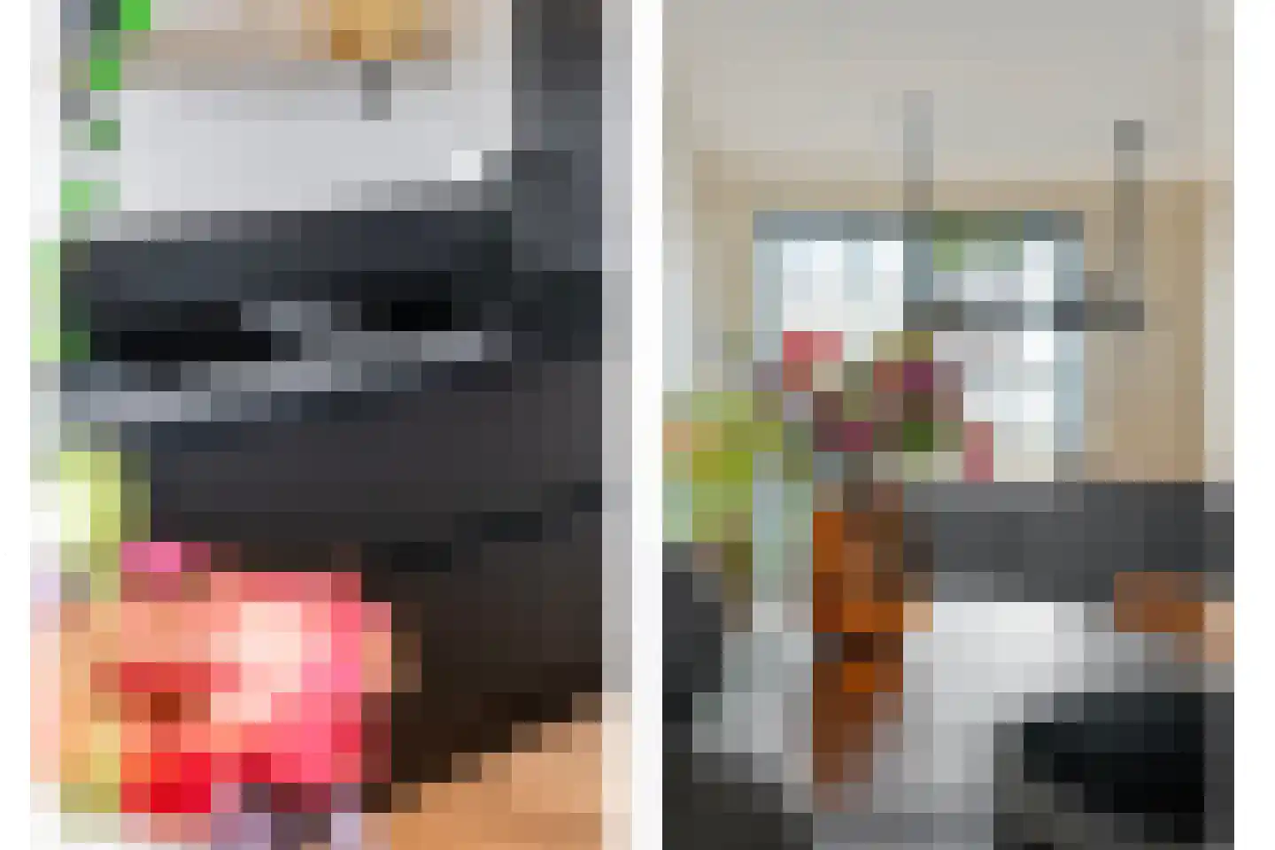 De Ryge 53 Nijeveen thumbnail 8