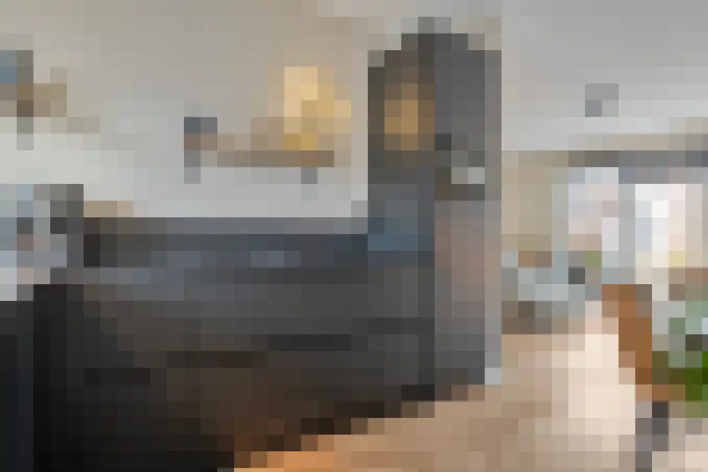 De Ryge 53 Nijeveen thumbnail 9