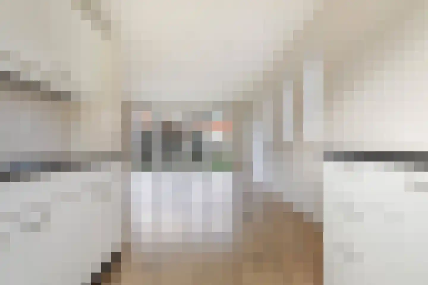 De Ryge 67 Nijeveen thumbnail 10