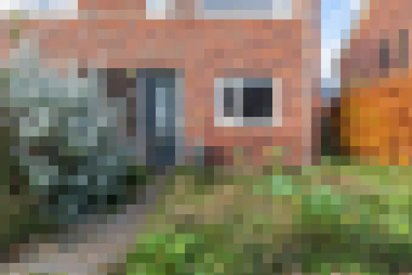 De Ryge 67 Nijeveen foto 2
