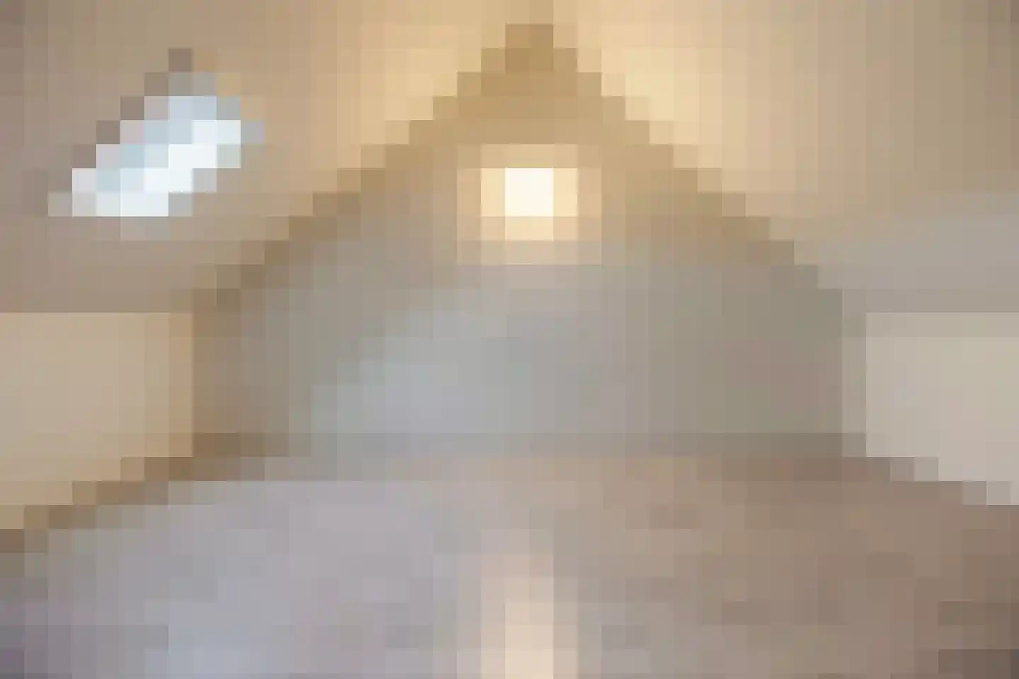 De Ryge 67 Nijeveen thumbnail 31