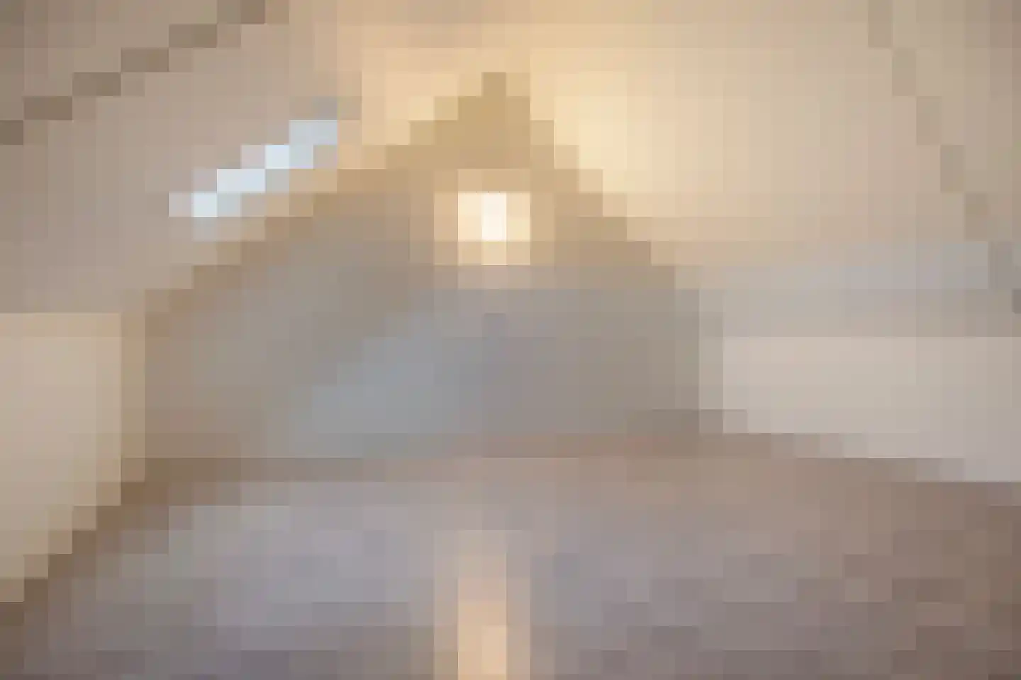 De Ryge 67 Nijeveen thumbnail 32