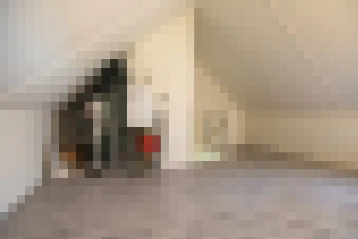 De Ryge 67 Nijeveen thumbnail 33