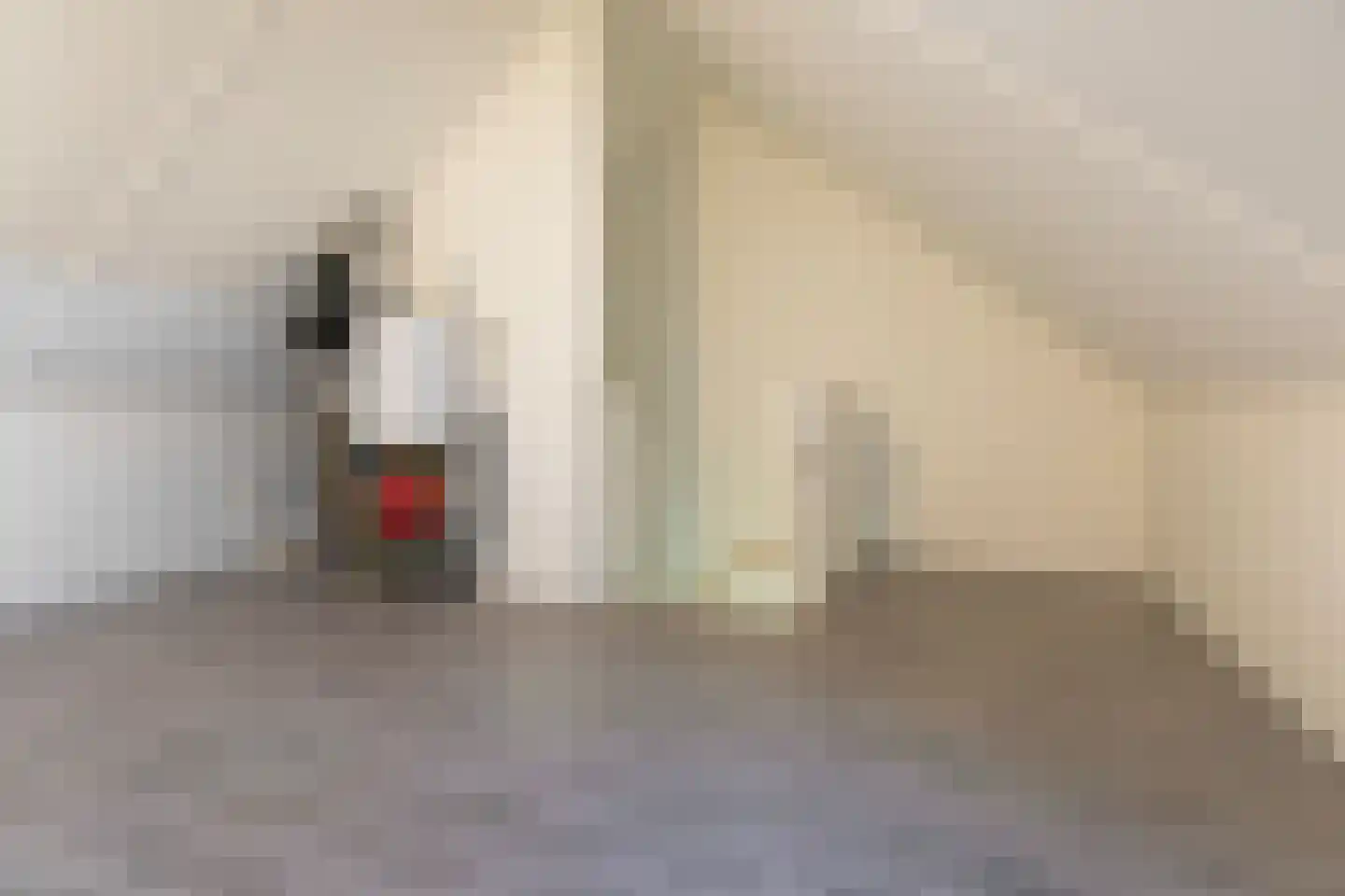 De Ryge 67 Nijeveen thumbnail 34