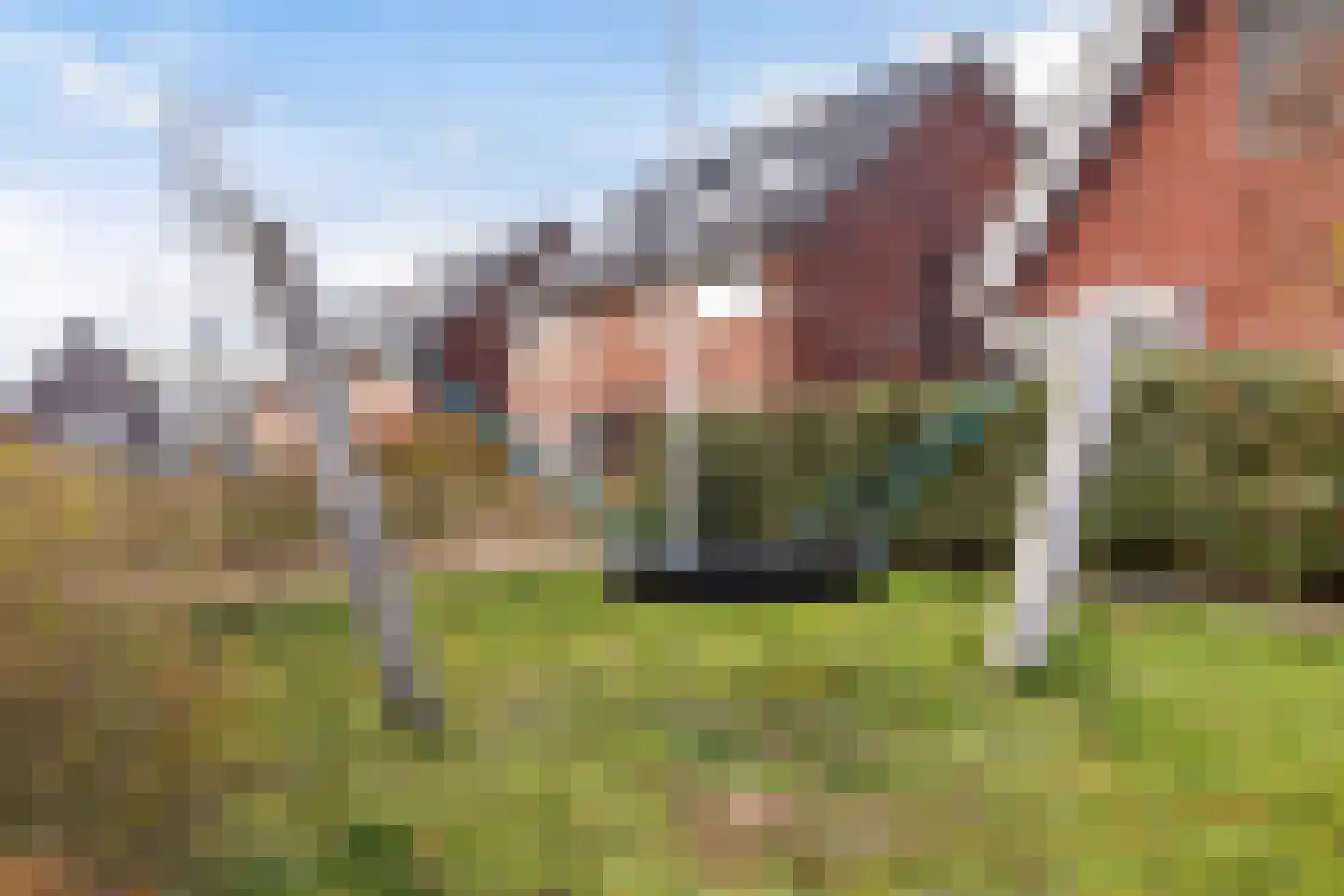 De Ryge 67 Nijeveen thumbnail 36