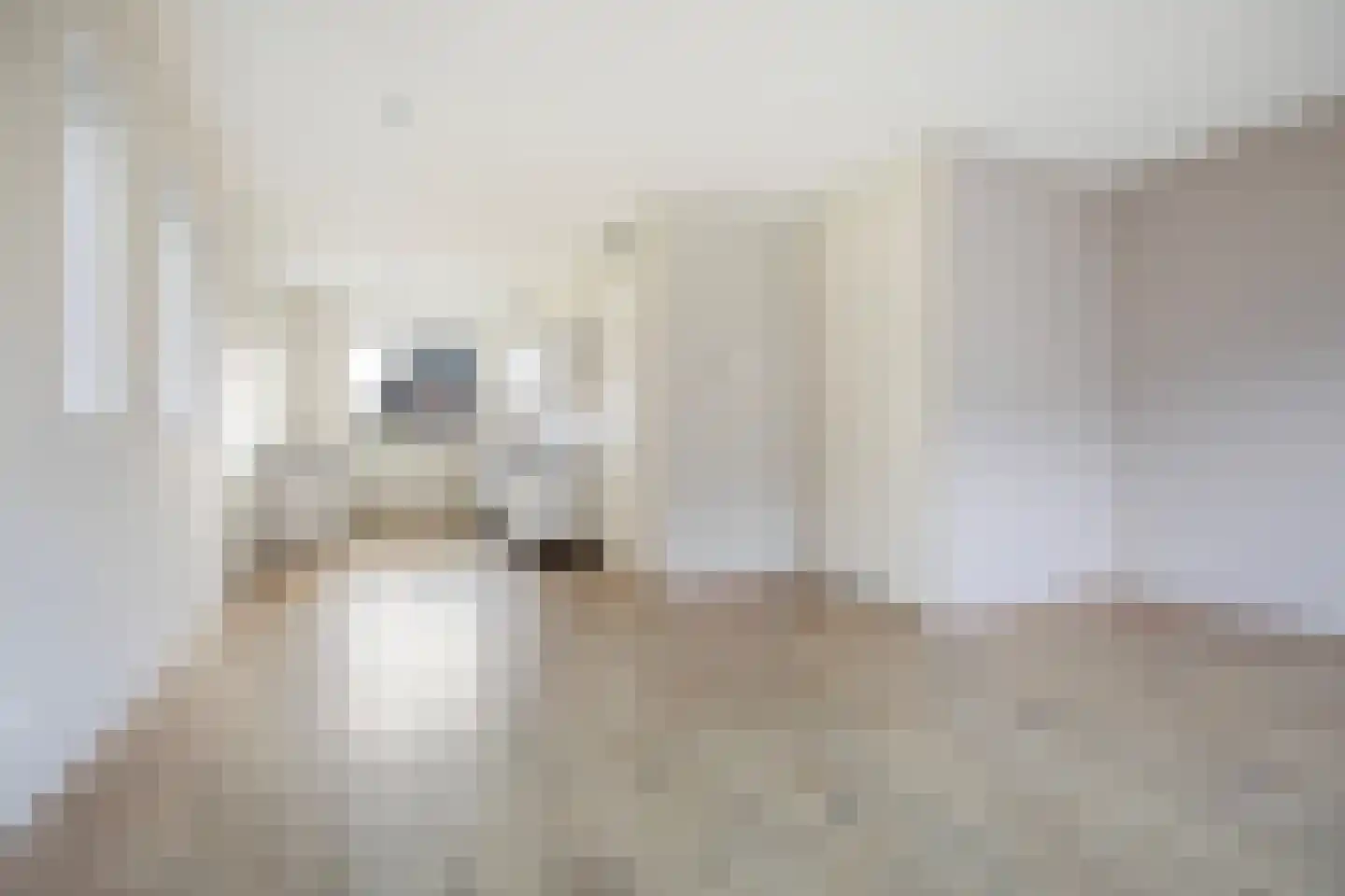 De Ryge 67 Nijeveen thumbnail 4