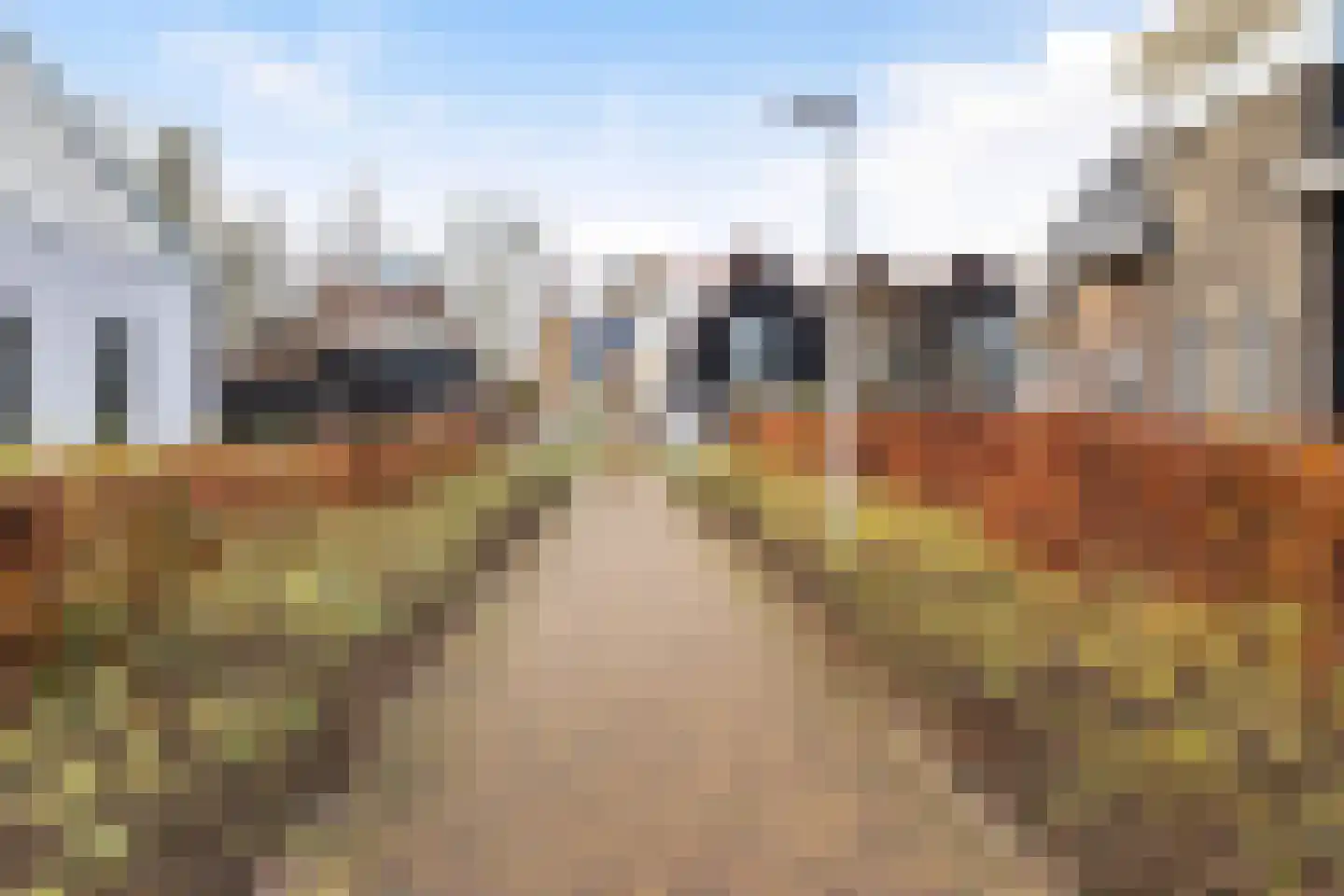 De Ryge 67 Nijeveen thumbnail 47