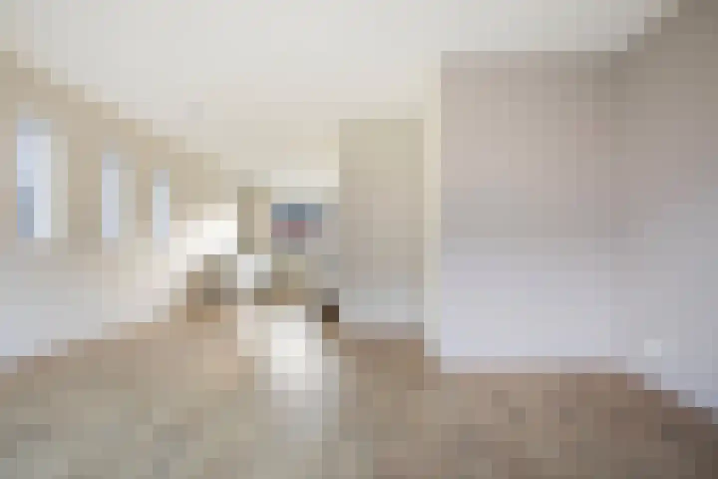 De Ryge 67 Nijeveen thumbnail 5