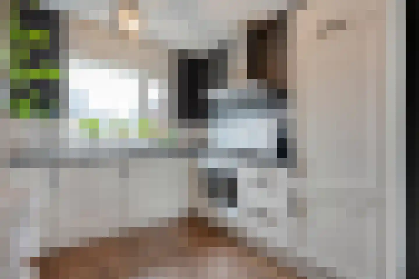 De Ryge 79 Nijeveen thumbnail 10