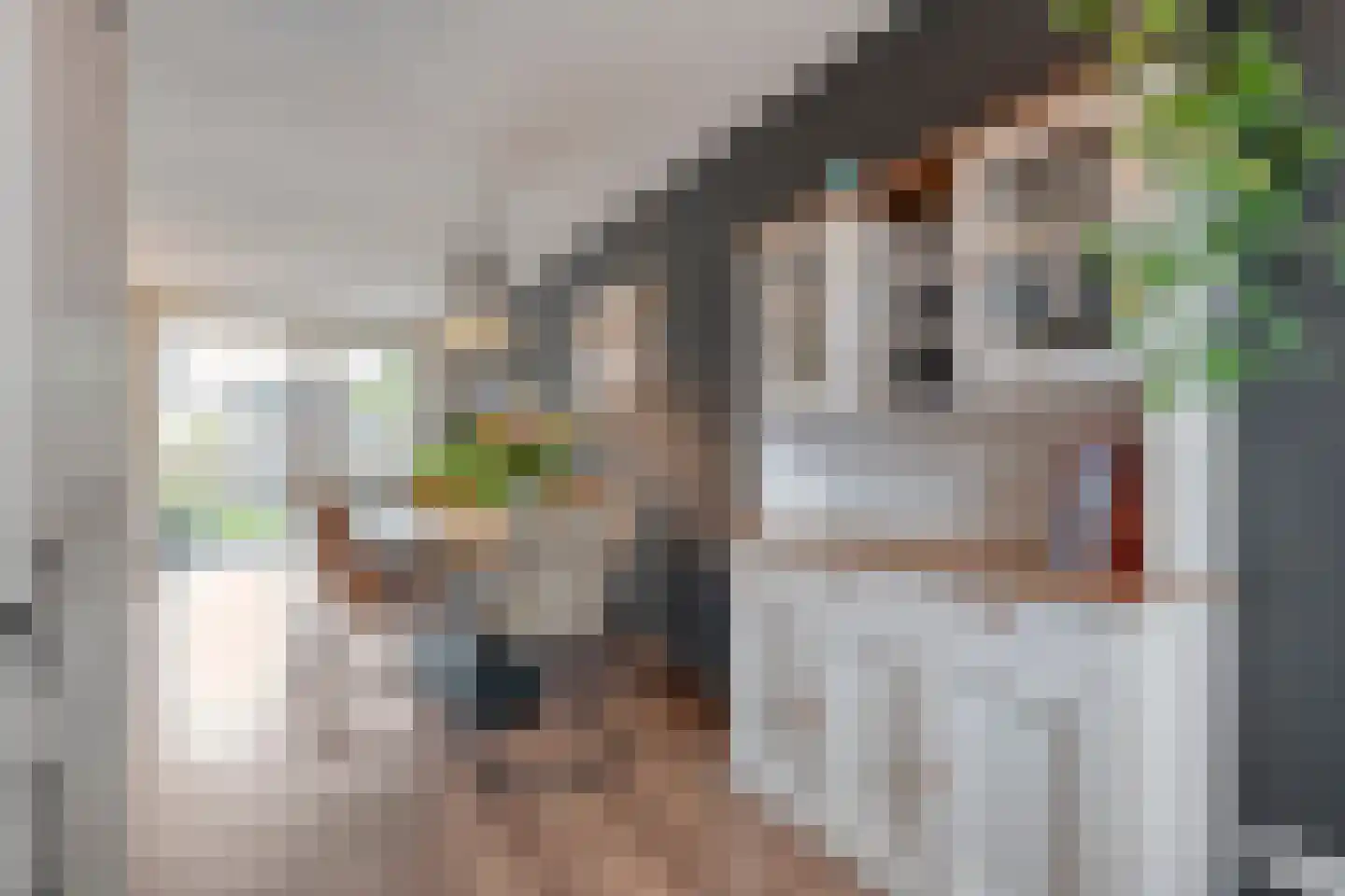De Ryge 79 Nijeveen thumbnail 11